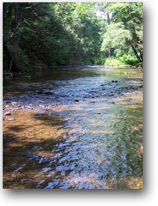 clarks creek is to be preserved and enhanced